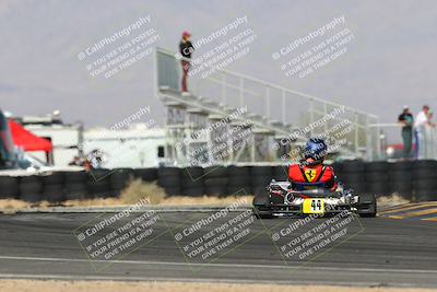 media/Mar-29-2025-Pro Autosports (Sat) [[89b1c017ad]]/6-Purple Group/Qualifying Session/